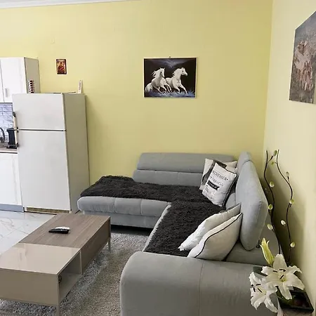 Apartment Paradise Luxury